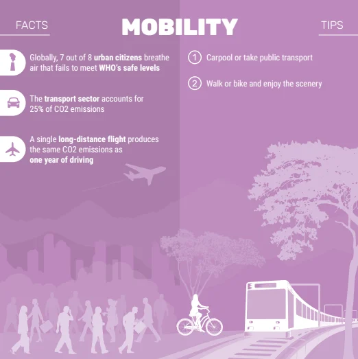 Sustainable Transport