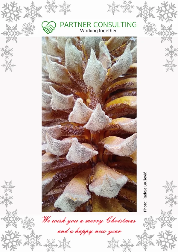 Merry Christmas and a happy new year!